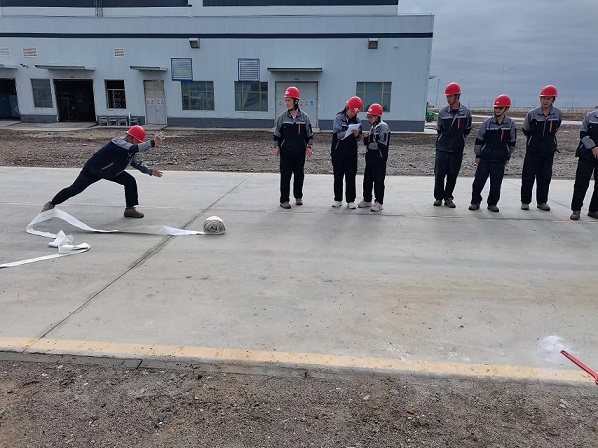 161692179283207450.jpeg 161692179283207450.jpeg