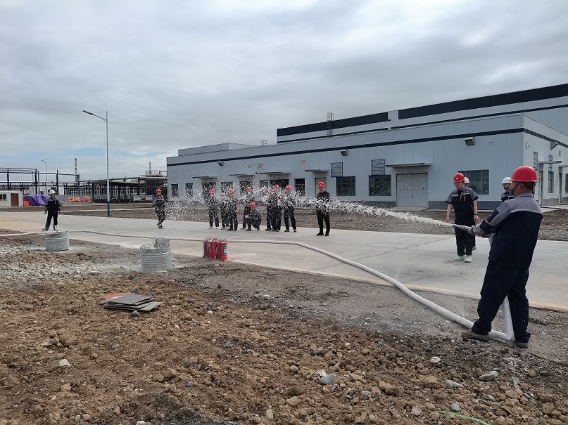 161692179409114334.jpeg 161692179409114334.jpeg