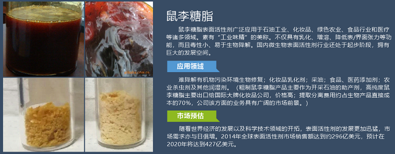 211692587431192825.png 润嬴2 - 副本.png